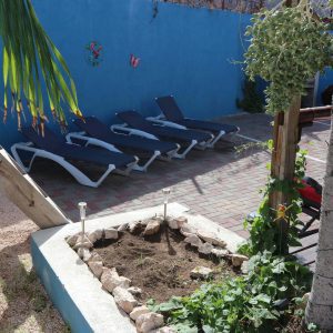 Garden student villa Azul