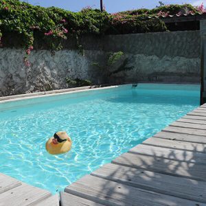 Swimming pool student house Curacao