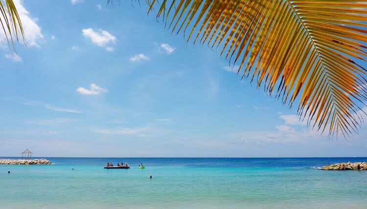 Education internship Curaçao CuraStage 5 reasons to work on Curacao