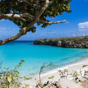 Vacatures voor stage op Curacao