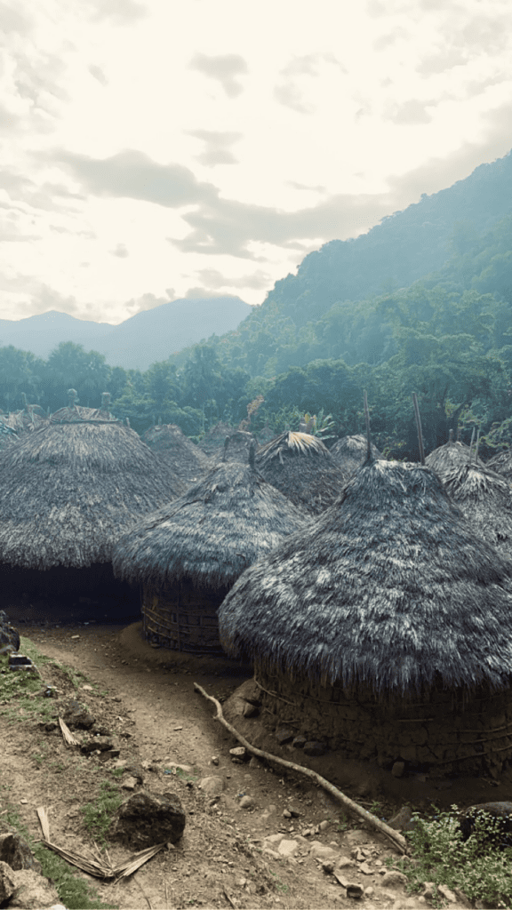 Jo-Anne: Een week Colombia CuraStage Huizen inheemse bevolking9 CuraStage
