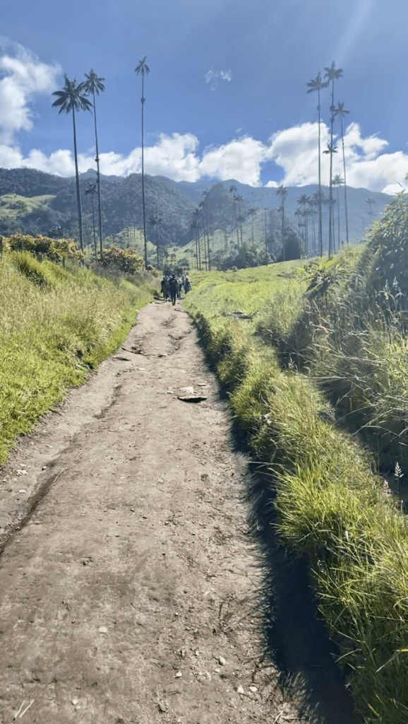 Jo-Anne: Een week Colombia CuraStage Pad Cocora Valley79 1 CuraStage