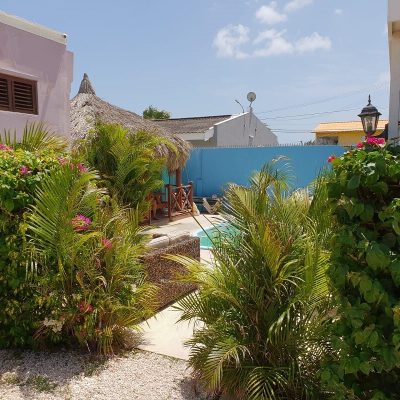 Garden2