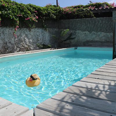 Zwembad studentenhuis Curacao
